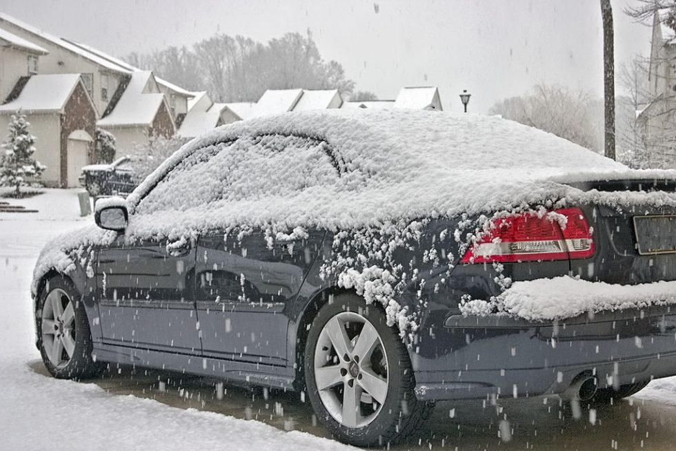 Snow Day, 2008